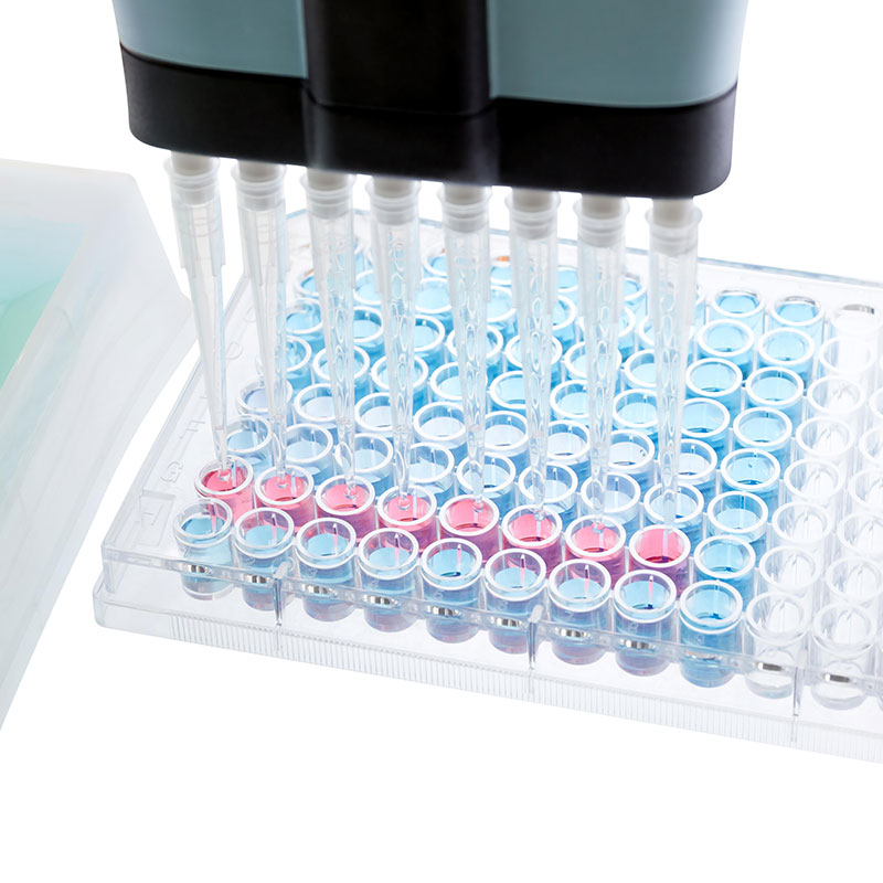 Hhub - EnzyChrom ADP Assay Kit