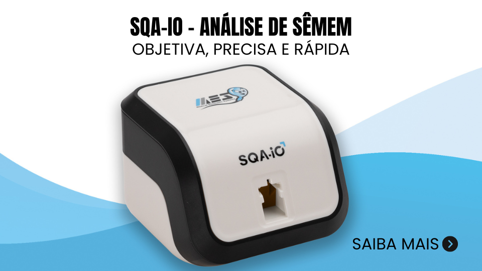 Promoção Especial
